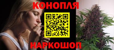 a pvp Новодвинск