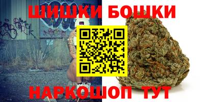 a pvp Новодвинск
