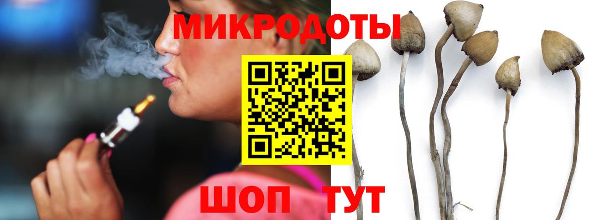 Псилоцибиновые грибы Psilocybe  Вход с VPN  купить наркоту  Нефтекамск  Псилоцибиновые грибы GOLDEN TEACHER 